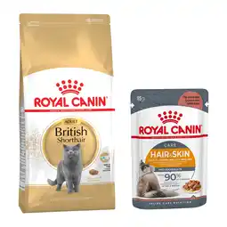 Zooplus 4kg British Shorthair Adult + 24x85g Intense Beauty in Saus Royal Canin Kattenvoer aanbieding