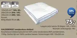 Jysk galdeberget eendendons dekbed aanbieding