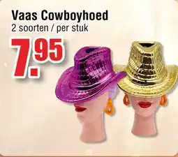 Ter Huurne Holland Markt Vaas Cowboyhoed aanbieding