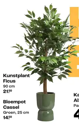 Kwantum Kunstplant Ficus aanbieding