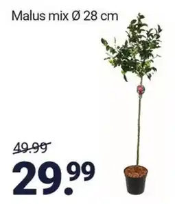 Inter Chalet Malus mix aanbieding