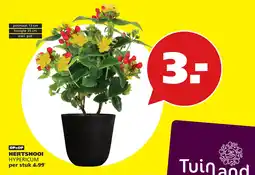 Tuinland Tuinland hertshooi hypericum aanbieding
