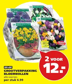 Tuinland Baltus bloembollen aanbieding