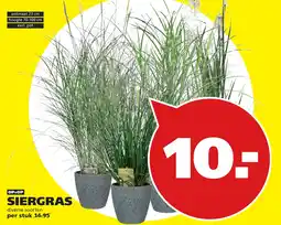 Tuinland siergras aanbieding