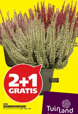 Tuinland Tuinland zomerheide aanbieding