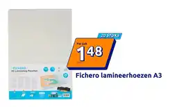 Action Fichero lamineerhoezen A3 aanbieding