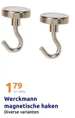 Action magnetische haken aanbieding