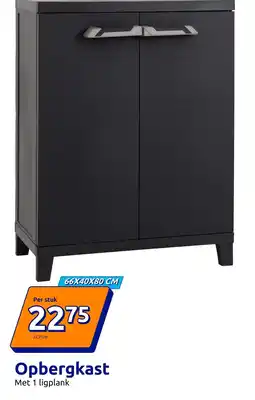 Action Opbergkast aanbieding