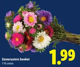 Lidl Zomerasters boeket aanbieding