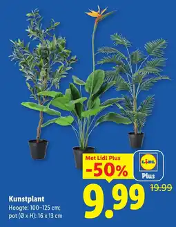Lidl Kunstplant aanbieding