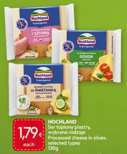 Food Plus Hochland Ser topiony plastry, wybrane rodzaje aanbieding