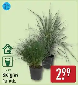 ALDI Siergras aanbieding