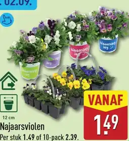 ALDI Najaarsviolen aanbieding