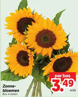 Dekamarkt Zonne-bloemen aanbieding