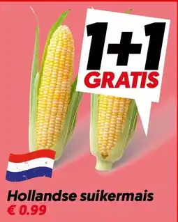 Dekamarkt Hollandse suikermais aanbieding