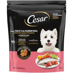 Albert Heijn Cesar Met verse kip & zalm aanbieding