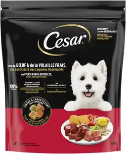 Albert Heijn Cesar Met verse rund & gevogelte aanbieding