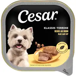Albert Heijn Cesar Klassik terrine rijk aan kip aanbieding