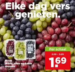 PLUS Plus witte, rode en sable druiven aanbieding