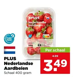 PLUS Plus nederlandse aardbeien aanbieding