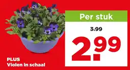 PLUS Plus violen in schaal aanbieding