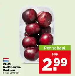 PLUS Plus nederlandse pruimen aanbieding