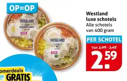 Hoogvliet Westland luxe schotels aanbieding