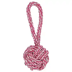 Pets Place Adori Flos Bal Met Lus - Trekspeelgoed - Wit&Pink 20 cm aanbieding