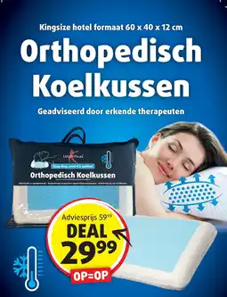 Lucovitaal Lucovitaal Orthopedisch Koelkussen aanbieding