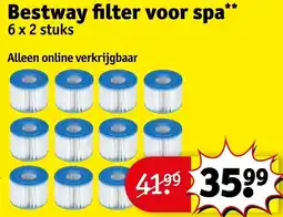 Kruidvat Bestway filter voor spa aanbieding