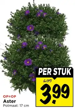 Vomar Voordeelmarkt Aster aanbieding