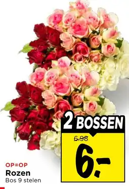 Vomar Voordeelmarkt Rozen aanbieding