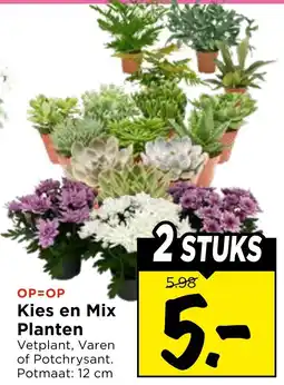 Vomar Voordeelmarkt Kies en Mix Planten aanbieding