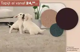 Roobol Tapijt aanbieding