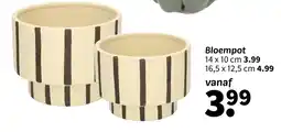 Wibra Bloempot aanbieding