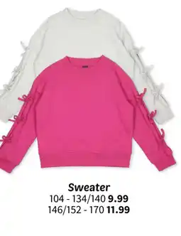 Wibra Sweater aanbieding