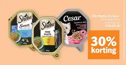 Albert Heijn Alle Sheba of Cesar aanbieding