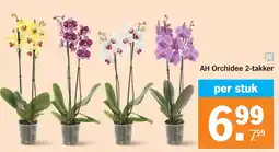Albert Heijn AH Orchidee aanbieding