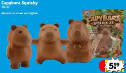 Kruidvat Capybara Squishy aanbieding