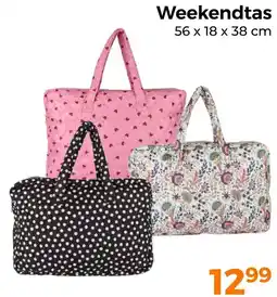 Trekpleister Weekendtas aanbieding