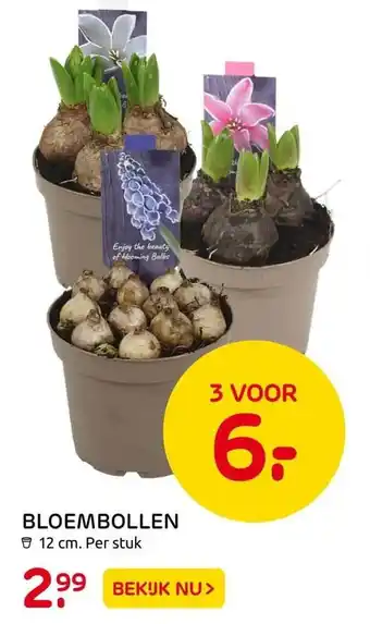 Praxis BLOEMBOLLEN aanbieding