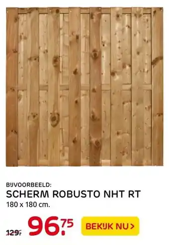 Praxis SCHERM ROBUSTO NHT RT aanbieding