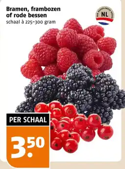 Poiesz Bramen, frambozen of rode bessen aanbieding
