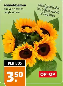 Poiesz Zonnebloemen aanbieding