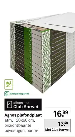 Karwei Agnes plafondplaat aanbieding