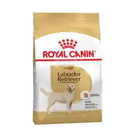 Pets Place Royal Canin Labrador Retriever Adult - Hondenbrokken - 12 kg aanbieding