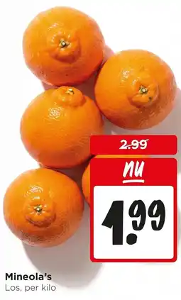 Jumbo Mineola's aanbieding