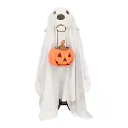 Van Cranenbroek Spook hond met pompoen licht 55 cm aanbieding