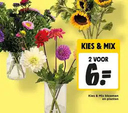 Jumbo Kies & Mix bloemen en planten aanbieding