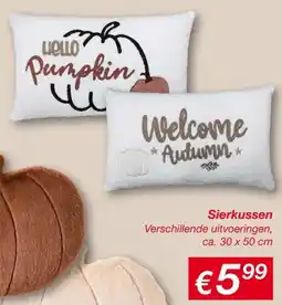 Kik Sierkussen aanbieding